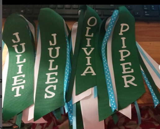 🎀 Custom Glitter Streamer Hair Bows